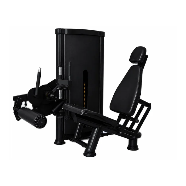 Cadeira flexora e extensora Divinópolis Fitness